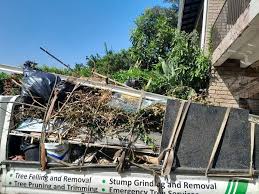 Demolition Debris Removal in Red Bud, IL